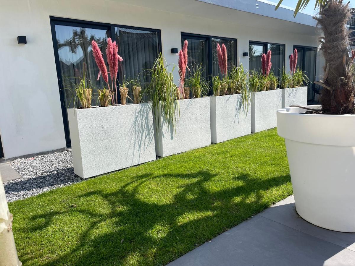 B&B Bubbles&Bites Oostvoorne Ngoại thất bức ảnh